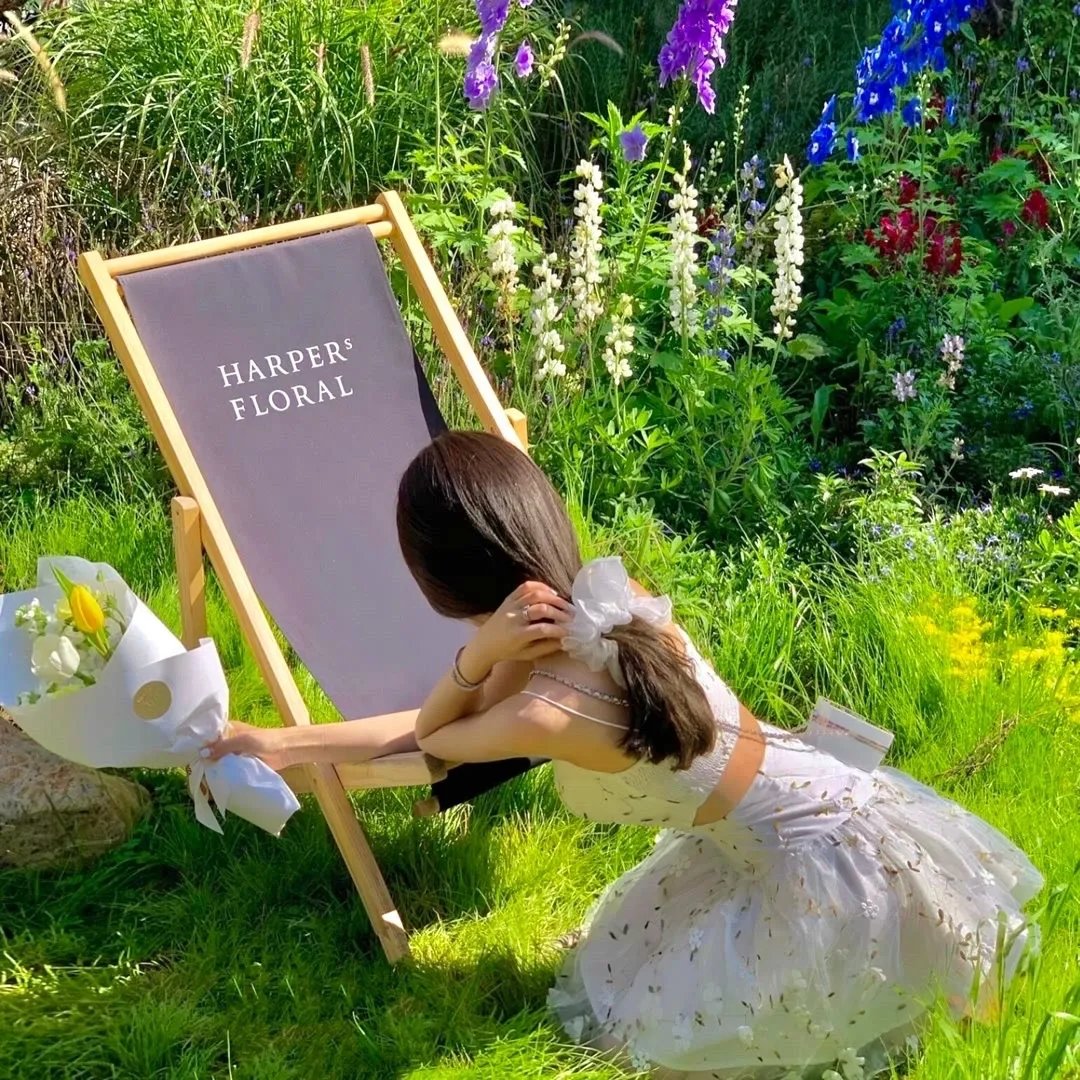 体坛秘史：奥本山宫殿斗殴